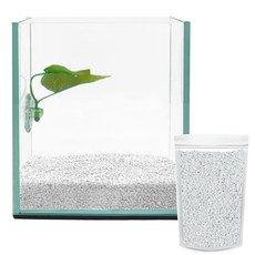 아쿠아테라 베타 유리어항 + 베타침대 + 컬러스톤 1kg CH-G150, 화이트(컬러스톤), 1개 반려동물용품/관상어 용품 반품 최저가 16,000원