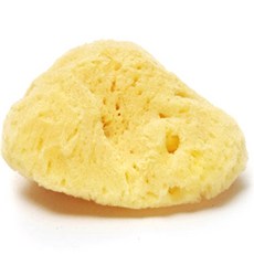 뷰티풀스킨 파인실크 세안용 미니 해면, 노랑, 1개 뷰티/뷰티소품 반품 최저가 8,480원