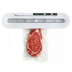 와이즈랩 무선 가정용 진공포장기, FD1 가전디지털/주방가전 반품 최저가 12,640원