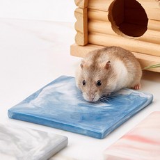 바우마켓 햄스터 여름 쿨매트, 핑크, 1개 반려동물용품/소동물/가축용품 반품 최저가 6,230원