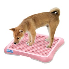 펫코노미 강아지 그물망 트레이 배변판 47 x 34 cm, 핑크, 1개 반려동물용품/강아지 용품 반품 최저가 5,600원
