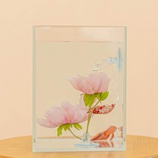 루미너스 베타하우스, 1개 반려동물용품/관상어 용품 반품 최저가 34,300원