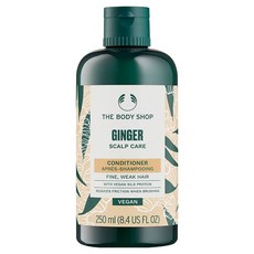 더바디샵 진저 스캘프 케어 컨디셔너, 250ml, 1개 undefined/undefined 반품 최저가 11,360원