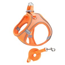 Pai 굿타임 하네스 + 리드줄 세트, 오렌지, 1세트 반려동물용품/강아지 용품 반품 최저가 4,770원