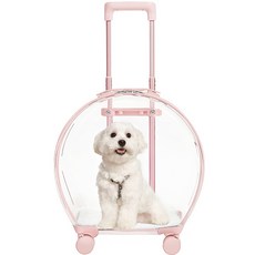 펫투비 반려동물 여행용 이동가방 투명 캐리어, 피치, 1개 반려동물용품/고양이 용품 반품 최저가 63,000원