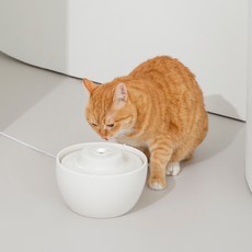 DUIT 웨이브팟 반려동물 급수기 WV-1000, 화이트, 1개 반려동물용품/강아지 용품 반품 최저가 40,040원