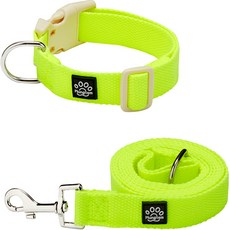 멍템 반려동물 팔레트 목줄 + 리드줄 세트, 네온옐로, 1세트 반려동물용품/펫티켓 산책용품 반품 최저가 21,650원