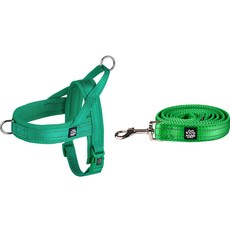 멍템 강아지 앞섬방지 하네스 + 메쉬 리드줄 세트, 그린, 1개 반려동물용품/펫티켓 산책용품 반품 최저가 27,630원