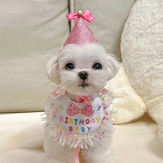 레블리 해피 꼬깔모자 세트 루비, 혼합색상, 1개 반려동물용품/고양이 용품 반품 최저가 12,970원