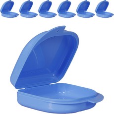 정월나나 틀니 보관 소형 케이스 7p, 단일상품(블루) 가전디지털/생활가전 반품 최저가 5,080원