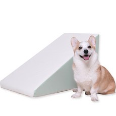 초코펫하우스 강아지 야광 논슬립 스텝 2.0, 민트, 1개 undefined/undefined 반품 최저가 24,330원