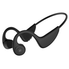 로이체 APT X HD탑재 멀티페어링 방수 방진 골전도 블루투스 무선 이어폰, BCE-300, 블랙 가전디지털/음향기기 반품 최저가 40,660원