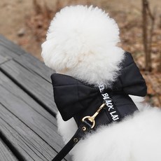 에이미러브즈펫 반려동물용 왕리본 하네스, 블랙, 1개 반려동물용품/강아지 용품 반품 최저가 31,680원