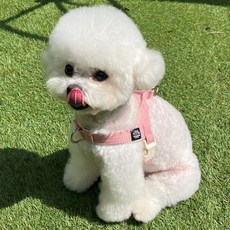 멍템 강아지 앞섬방지 팔레트 하네스, 파스텔 핑크, 1개 반려동물용품/펫티켓 산책용품 반품 최저가 6,600원