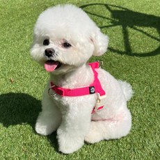 멍템 강아지 앞섬방지 팔레트 하네스, 네온 핑크, 1개 반려동물용품/강아지 용품 반품 최저가 13,610원