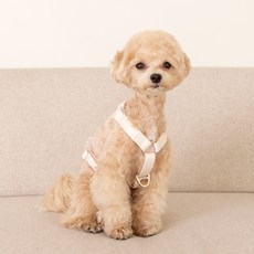 요기쏘 강아지 마이독 앞섬방지 H형 하네스, 크림, 1개 반려동물용품/강아지 용품 반품 최저가 9,930원