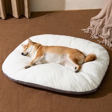 펫코노미 반려동물 포그니 사계절용 쿠션, 화이트, 1개 반려동물용품/고양이 용품 반품 최저가 16,920원