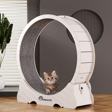 런캣츠 캣휠, 백아이보리, 1개 반려동물용품/고양이 용품 반품 최저가 87,120원