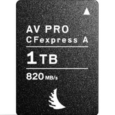 엔젤버드 AV PRO CFexpress Type A 메모리카드 AVP1T0CFXA, 1TB, 1개 가전디지털/저장장치 반품 최저가 683,300원