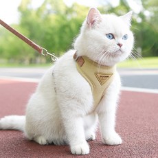 랜보어 소프트 컬러 메쉬 하네스세트, 베이지, 1개 반려동물용품/고양이 용품 반품 최저가 6,620원