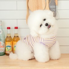 펫츠랜드 강아지 로키 티셔츠, 퍼플, 1개 반려동물용품/고양이 용품 반품 최저가 7,390원