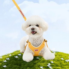 래핑찰리 이지세이프 하네스, 옐로우, 1개 반려동물용품/펫티켓 산책용품 반품 최저가 21,270원