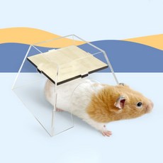 카르노 햄스터 아크릴 먹이통 은신처 FREE, 우드, 1개 반려동물용품/소동물/가축용품 반품 최저가 5,850원