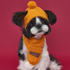 도그아이 강아지 니트 방울 모자 + 목도리 세트, 머스타드, 1세트 반려동물용품/고양이 용품 반품 최저가 7,220원