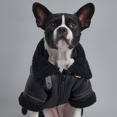 도그아이 강아지 무스탕, 블랙, 1개 반려동물용품/강아지 용품 반품 최저가 17,440원