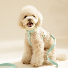 힛찌 강아지 초경량 거부감 없이 편안한 H형 하네스, 민트 그린, 1개 반려동물용품/펫티켓 산책용품 반품 최저가 16,400원