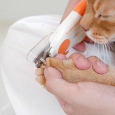 소심한호랑이 반려동물 LED 소프트 발톱깍이, 혼합색상, 1개 반려동물용품/강아지 용품 반품 최저가 10,190원