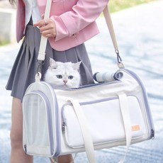 스페이스캣 반려동물 튼튼 통풍 기내용 이동가방, 아이보리, 1개 반려동물용품/강아지 용품 반품 최저가 23,620원