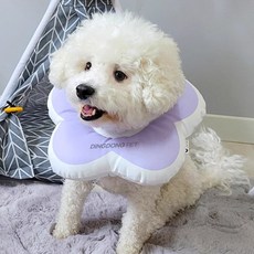 딩동펫 반려동물 데이지 꽃잎 넥카라, 블루, 1개 undefined/undefined 반품 최저가 5,160원