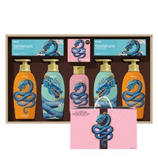 LG생활건강 AI 프리미엄 세트 청룡에디션 + 쇼핑백, 1세트 뷰티/선물세트/키트 반품 최저가 27,180원