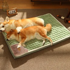 딩동펫 스너글 메모리폼 강아지 방석, 민트, 1개 반려동물용품/강아지 용품 반품 최저가 8,560원