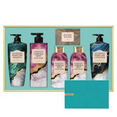 LG생활건강 정성담은 샴푸&바디 세트 A3 + 쇼핑백, 1세트 뷰티/헤어 반품 최저가 21,940원