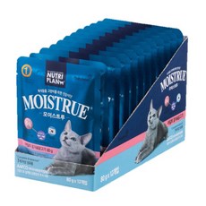 동원뉴트리플랜 어덜트 고양이 모이스트루 주식 파우치 12p, 생선, 80g, 12개 반려동물용품/고양이 사료 반품 최저가 9,330원