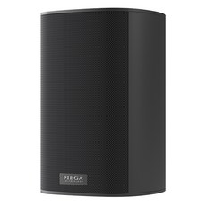 피에가 30 Wireless RX 스피커, ACE 30(Black) 가전디지털/음향기기 반품 최저가 1,069,050원
