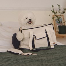 퍼피아 강아지 레츠고 컨버스 슬링백 기내용 + 쿠션 세트 AB2101, 네이비, 1세트 반려동물용품/펫티켓 산책용품 반품 최저가 38,750원