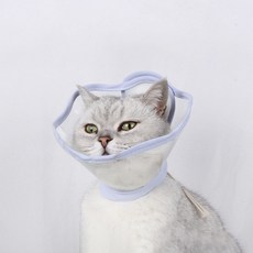 랜보어 반려동물 웨이브 넥카라, 퍼플, 1개 반려동물용품/강아지 용품 반품 최저가 7,970원