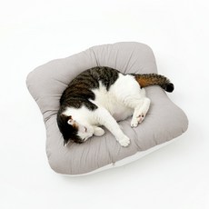 페스텝 반려동물 털 잘 떨어지는 꾹꾹이 방석 땅콩형, 라이트브라운, 1개 반려동물용품/고양이 용품 반품 최저가 28,960원