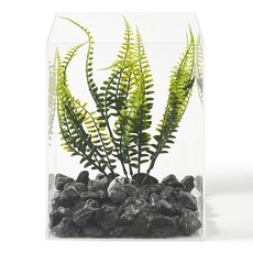 kmmmm 아크릴 투명 어항 + 흑자갈 + 줄기 수초 세트, 혼합색상, 1세트 반려동물용품/관상어 용품 반품 최저가 27,710원