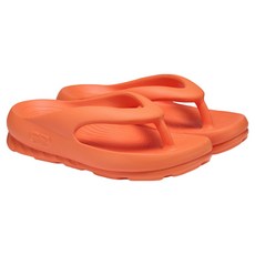 여성용 GB 247 FLIPFLOP 슬리퍼 패션의류/잡화/남성패션 반품 최저가 41,600원
