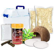 로라펫 소라게 키우기 세트 아스펜베딩 2개입, 혼합색상, 1개 반려동물용품/관상어 용품 반품 최저가 28,000원