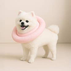 레토 강아지 고양이 넥카라 방수 초경량 대형견 소형견, 핑크, 1개 반려동물용품/강아지 용품 반품 최저가 6,850원