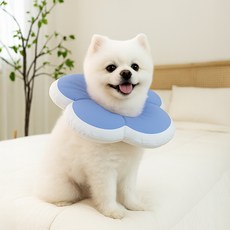 레토 반려동물 플라워 방수 초경량 넥카라, 블루, 1개 반려동물용품/강아지 용품 반품 최저가 5,300원