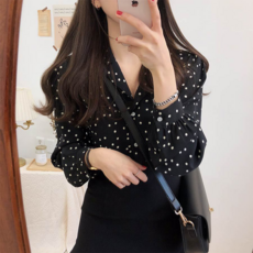 피어니스트 폴카 도트 패턴 시폰 블라우스 패션의류/잡화/여성패션 반품 최저가 21,170원