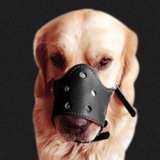 모던 강아지 입마개 M, 1개, 블랙 반려동물용품/펫티켓 산책용품 반품 최저가 5,340원