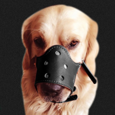 모던 강아지 입마개 XL, 1개, 블랙 반려동물용품/펫티켓 산책용품 반품 최저가 520원