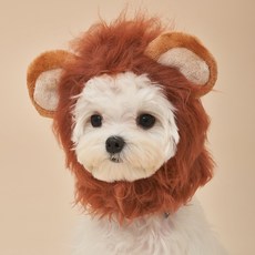 도그아이 반려동물 라이언모자, 혼합색상, 1개 반려동물용품/강아지 용품 반품 최저가 6,710원